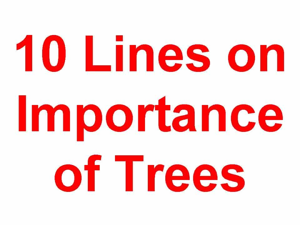 10 Lines on Importance of Trees - Student Tube
