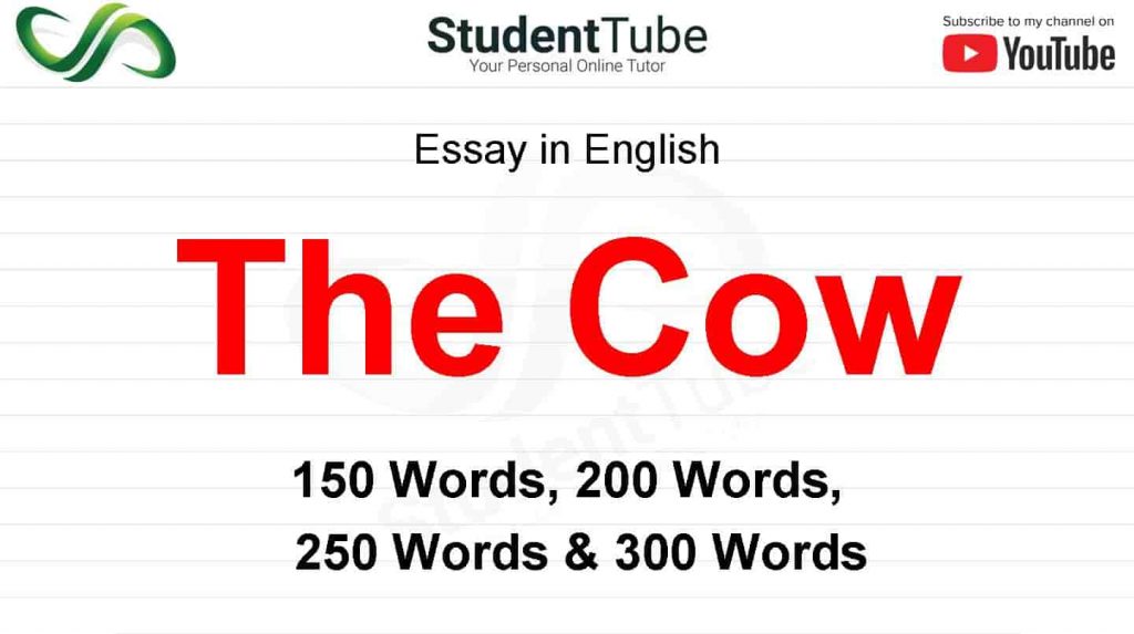 The Cow Essay