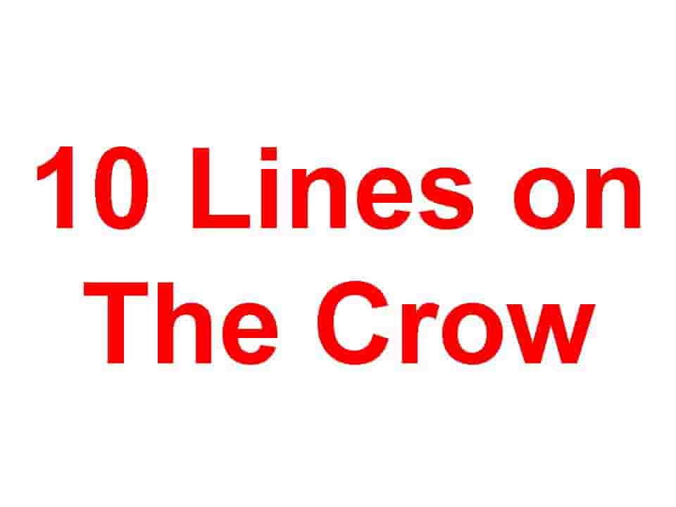 10 Lines on The Crow