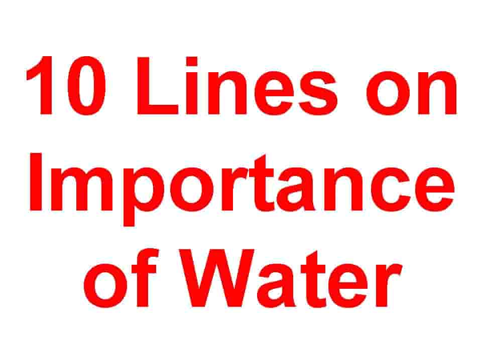 10 Lines on The Importance of Water