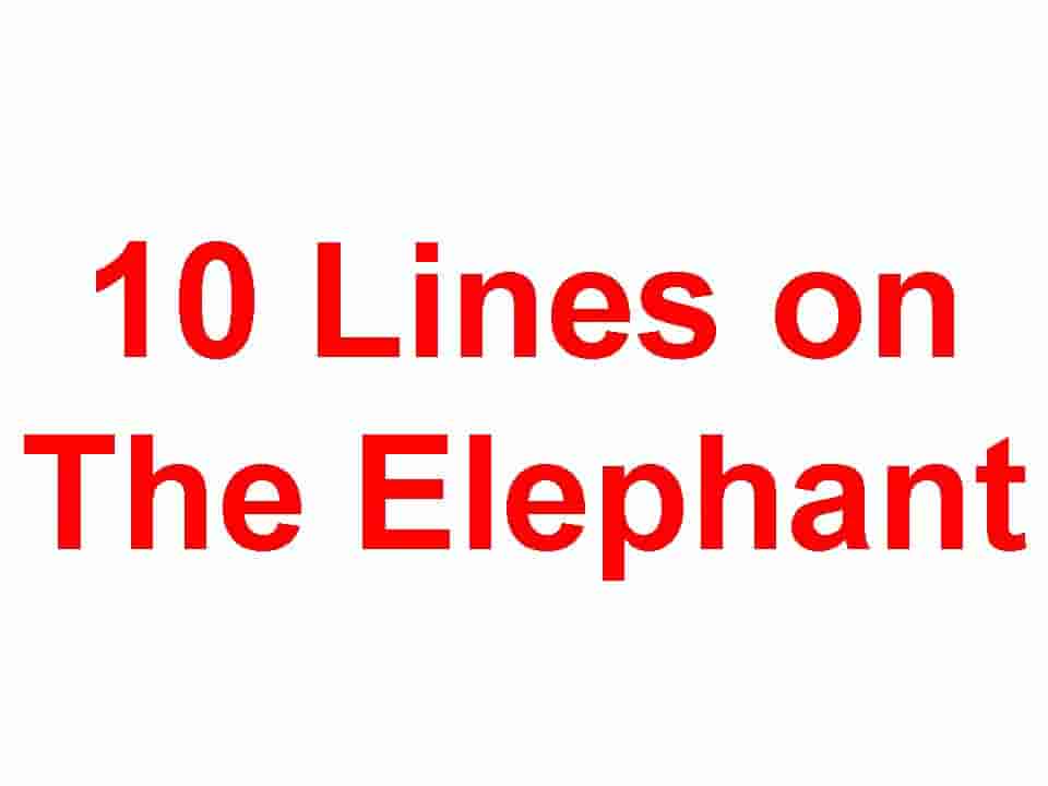 10 lines on Elephant