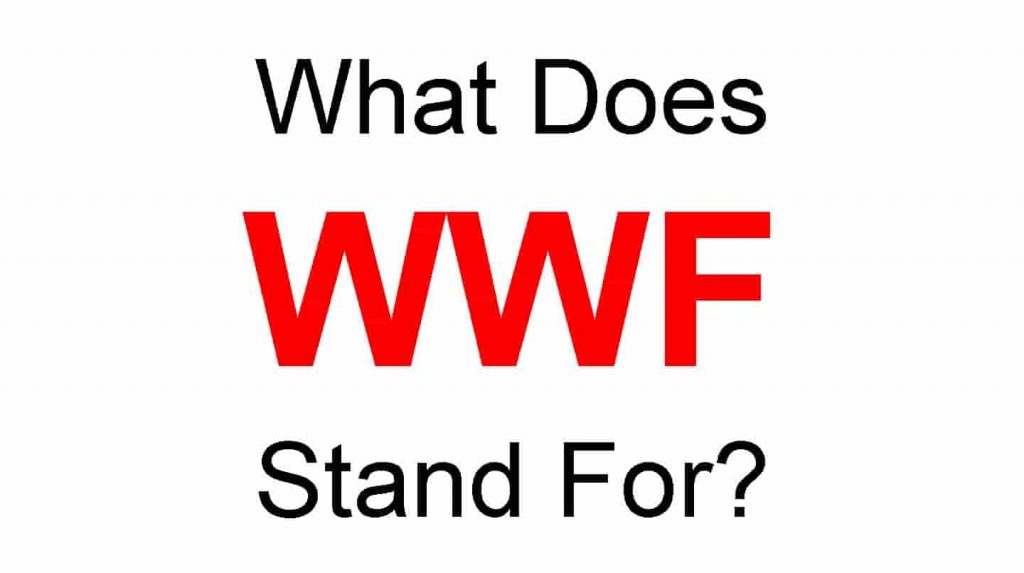 WWF Full Form – What Does WWF and For