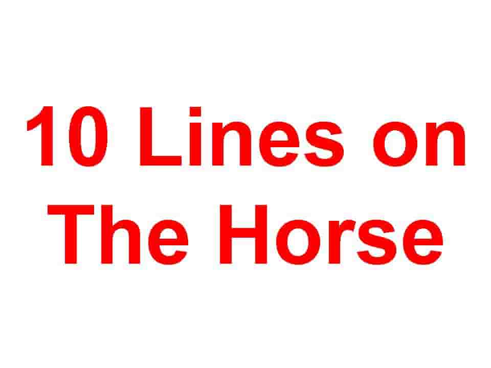 10 Lines on Horse - Student Tube