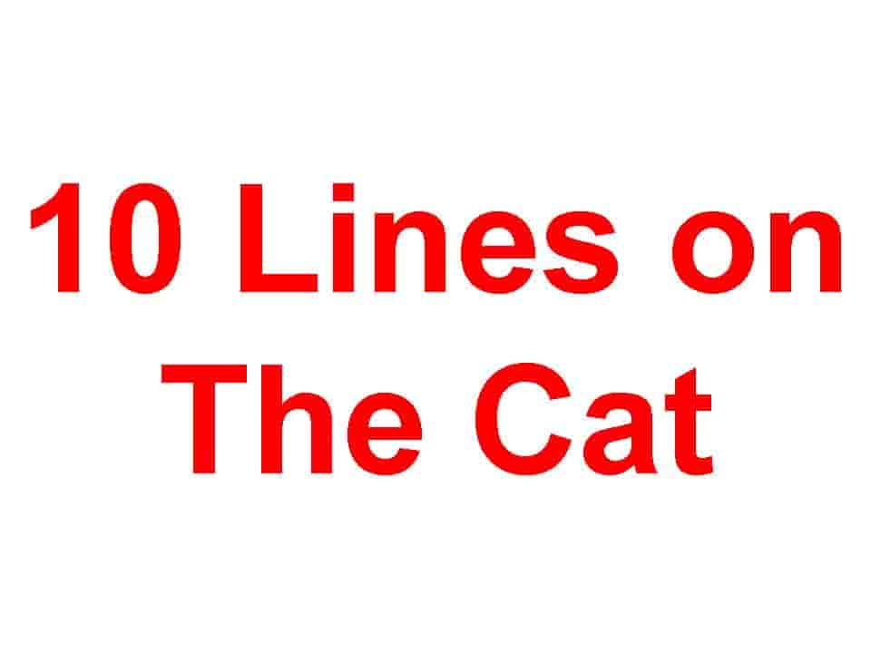 10 Lines on The Cat