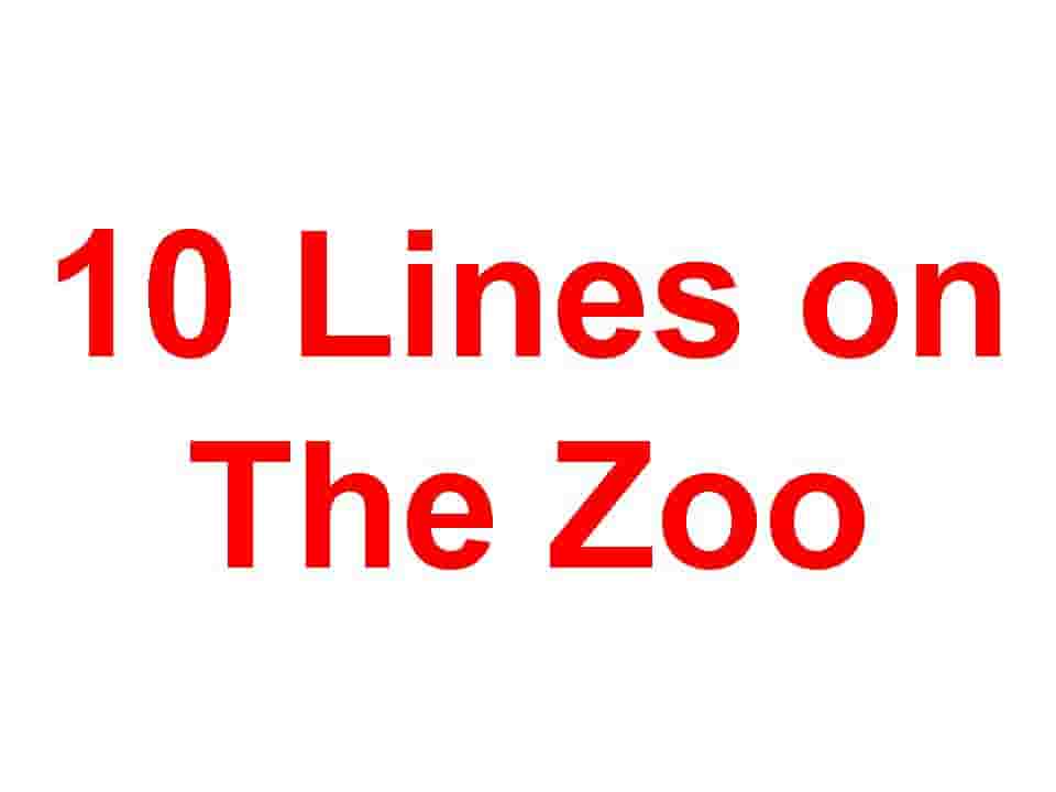 10 Lines on the Zoo