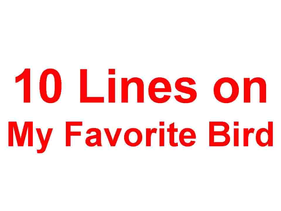 10 Lines on My Favorite Bird - Student Tube