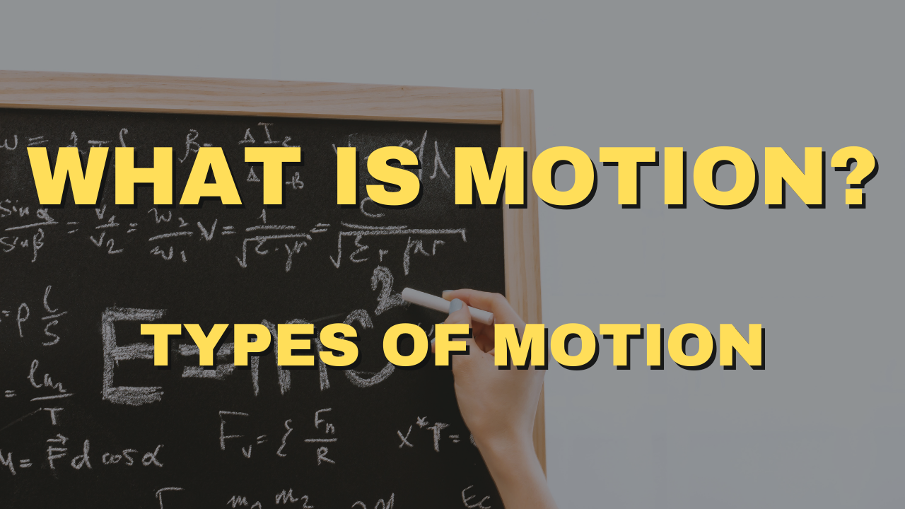types of motion essay