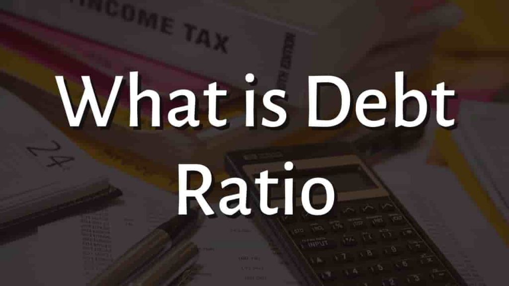 What is Debt Ratio