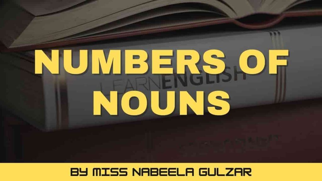 Numbers of Nouns